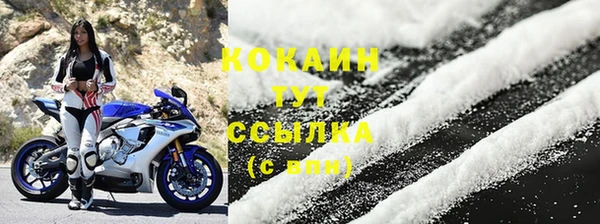 трава Арсеньев